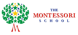 The Montessori Schools